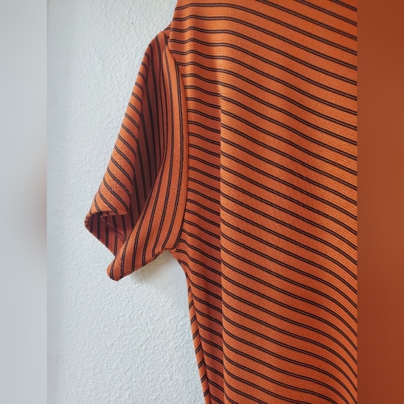 Zara Womens Ruched Midi Dress. Rust/black striped. Size S - Picture 3 of 6